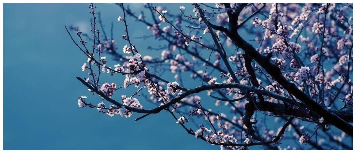 DG, Rajabet meets CMD OIL 16.12.25